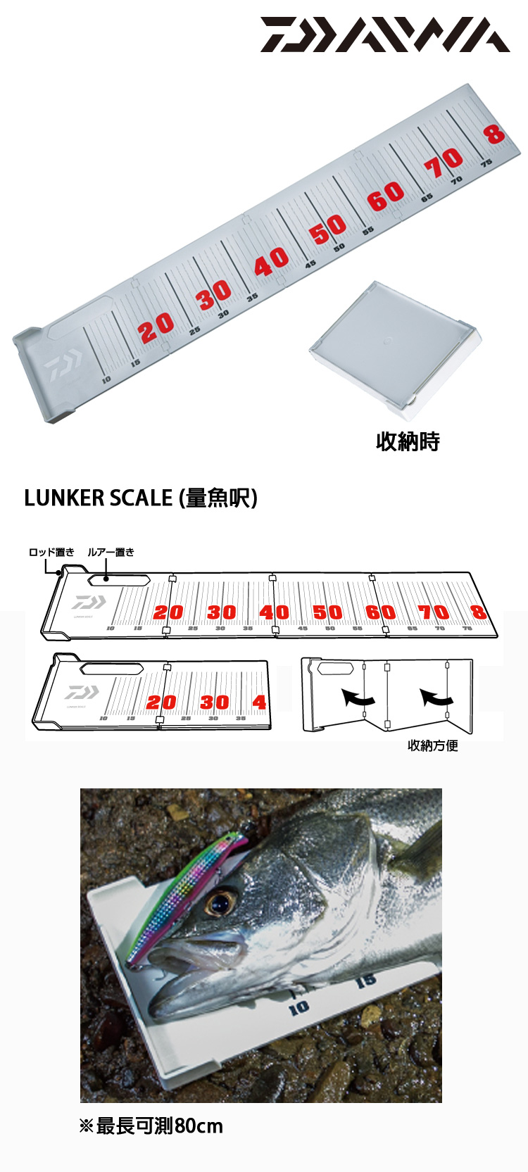 魚樂| 溪流精灵#吉罗鱼#huerco #xt511s | Instagram