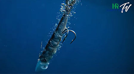 2025 HR SHIGA II 紫牙 II 天亞竿/天牙鉤【商品介紹】