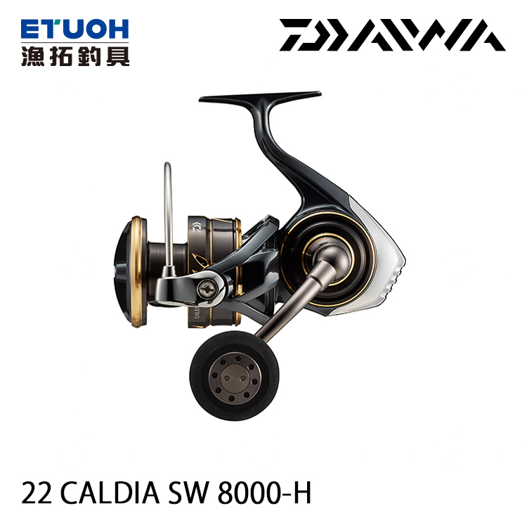 DAIWA 22 CALDIA SW 8000-H [紡車捲線器]
