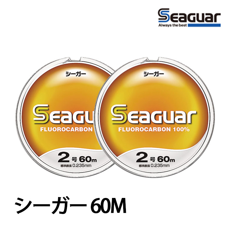 SEAGUAR シ-ガ 60M #24 [碳纖線]