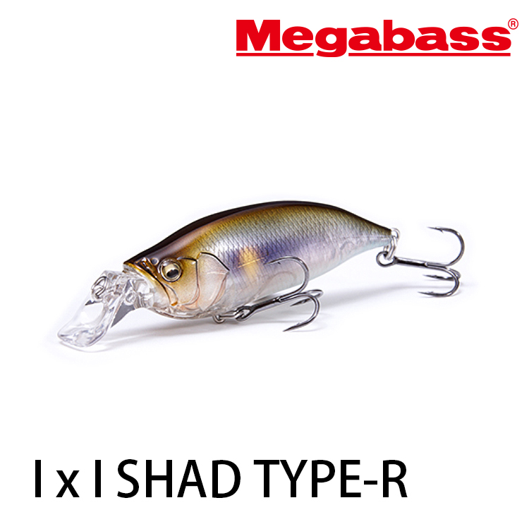 MEGABASS IXI SHAD TYPE-R [路亞硬餌] [存貨調整]