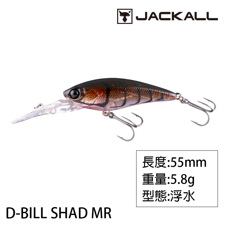 Jackall D-Bill Shad 55 MR Flottant Leurre POL Chart Back BG