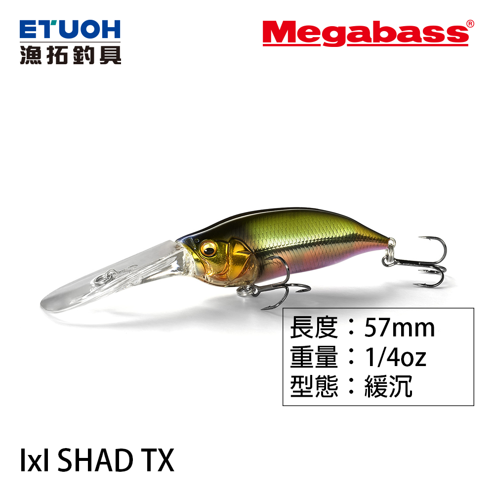 MEGABASS IXI SHAD TX [路亞硬餌]