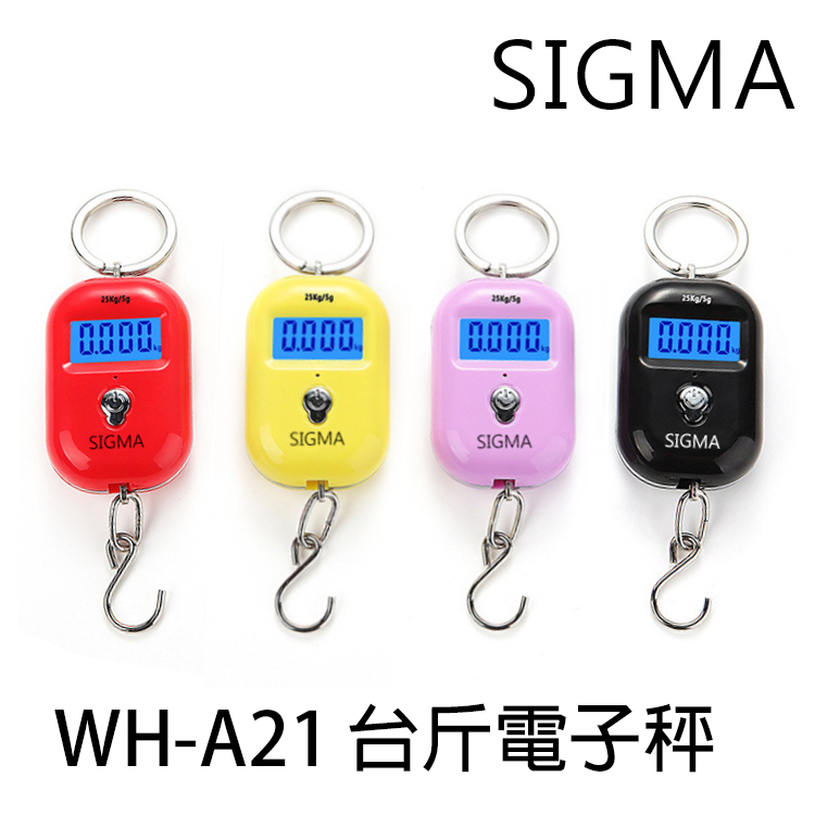 WH-A21 [台斤電子秤] [存貨調整]